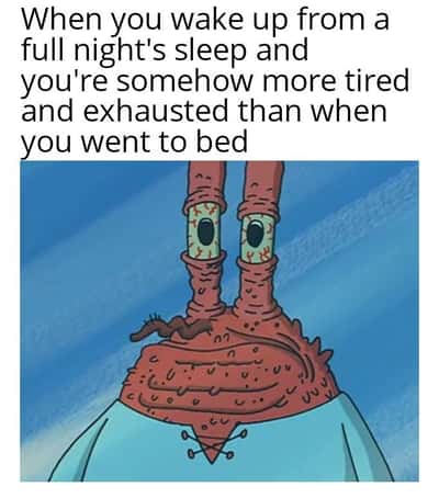 Random Memes
