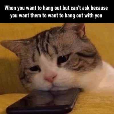 Random Memes