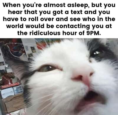 Random Memes