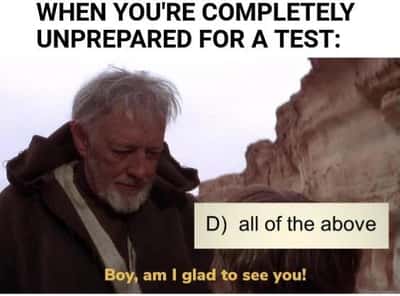 Random Memes