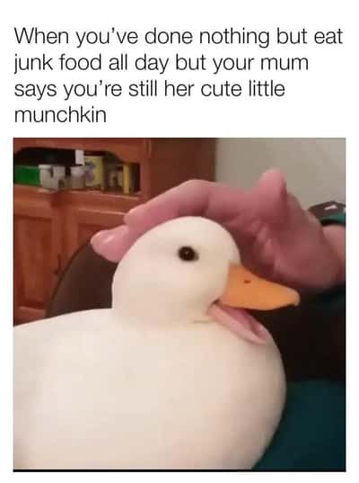 Random Memes