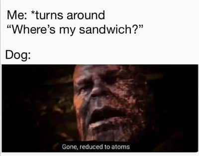 Random Memes