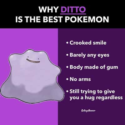 Random Memes