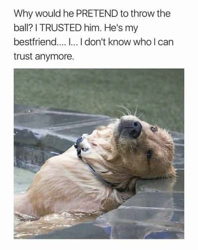 Random Memes