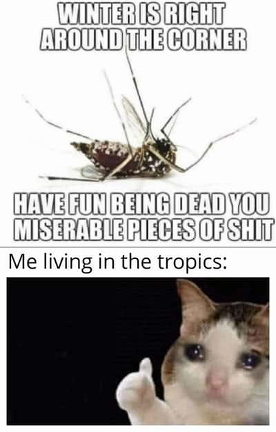 Random Memes