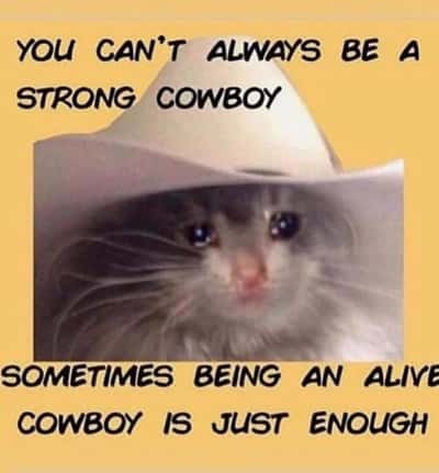Random Memes