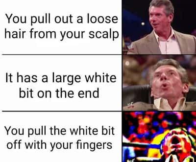 Random Memes
