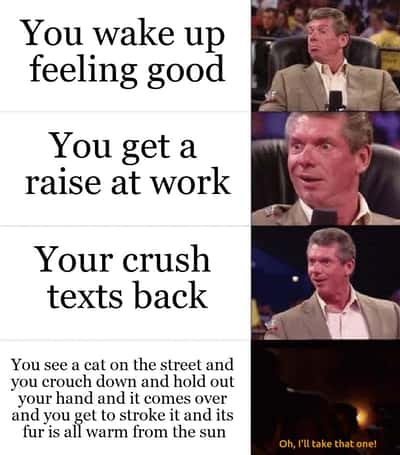 Random Memes