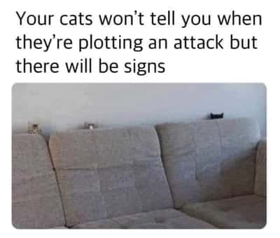 Random Memes
