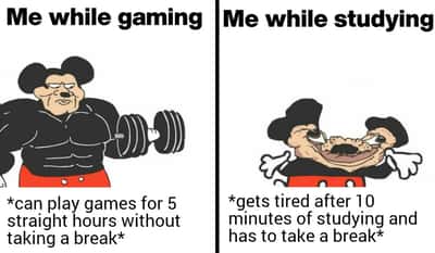 Random Memes