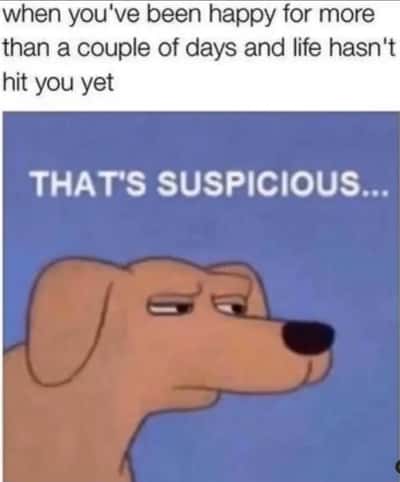 Dog meme side eye dog finds a few happy days in a row suspicious