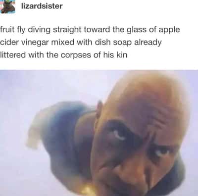 Random Memes