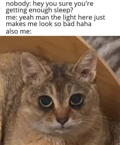 Random Memes