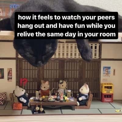 Random Memes