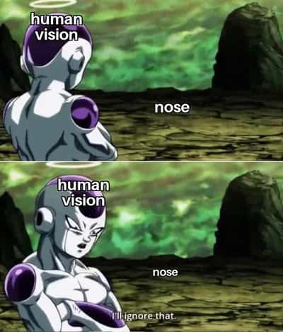 Random Memes