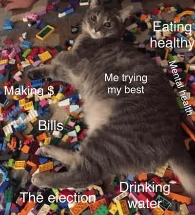 Random Memes