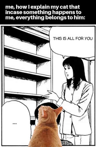 Random Memes