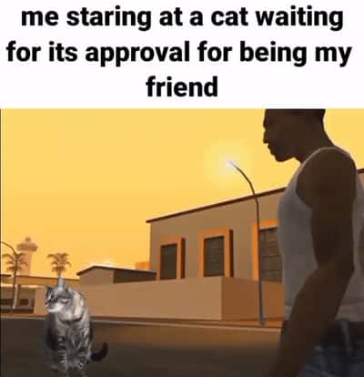 Random Memes