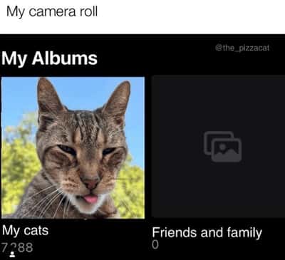 Random Memes