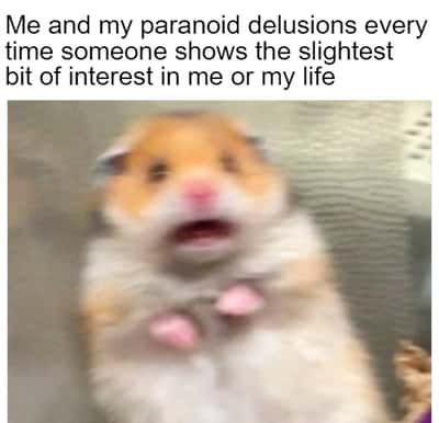 Scared hamster meme panicking when someone shows slightest bit of interest in your life