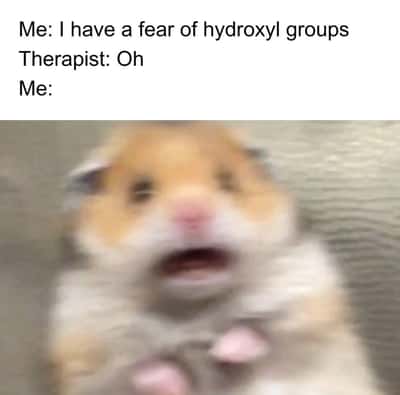 Scared hamster meme panicking after confessing fear of hydroxyl groups to therapist
