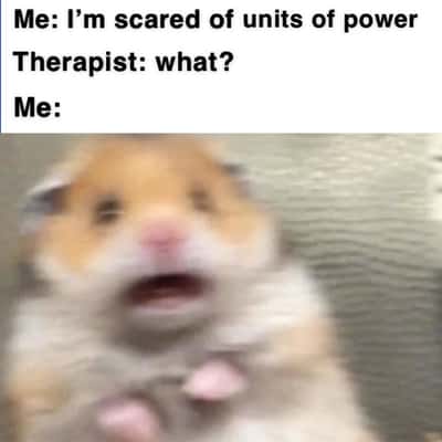 Scared hamster meme panicking when admitting fear of units of power to therapist