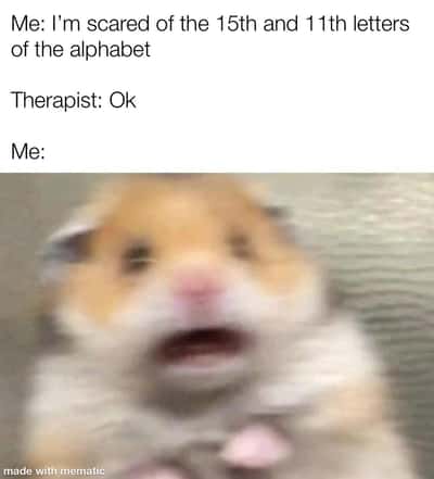 Scared hamster meme panicking when therapist says ok to his fear of 11th and 15th alphabet letters