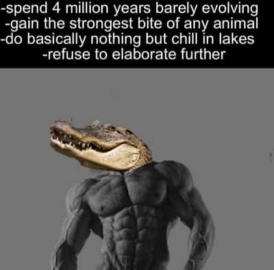 Random Memes