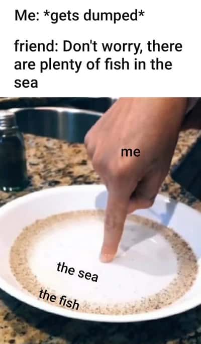 Random Memes