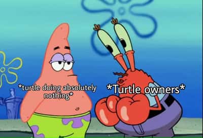 Random Memes