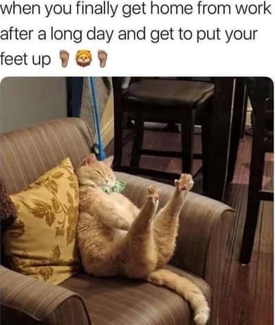 Random Memes