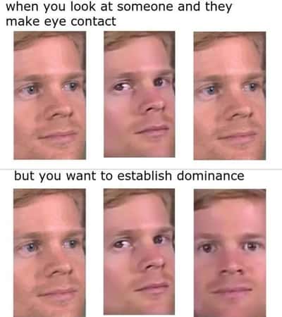 Random Memes