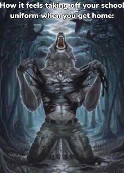 Alpha wolf meme relief after removing school uniform