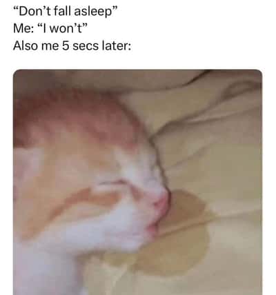 Random Memes