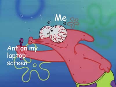 Squinting bloodshot-eyed Patrick Star fixated on tiny ant on laptop screen meme