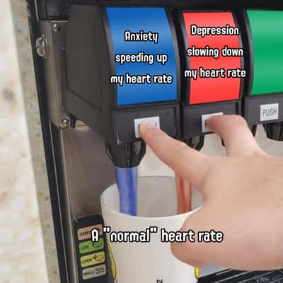 Random Memes