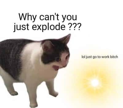 Fed up devastated chonky white and grey cat meme begging the sun to explode