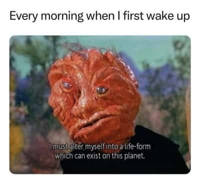 Random Memes