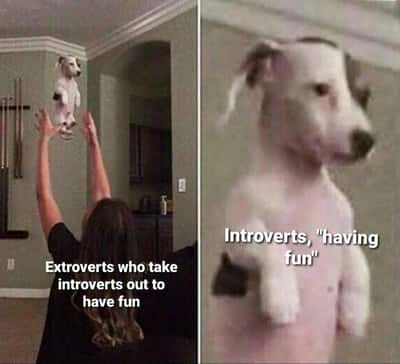 Random Memes