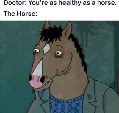 Horse meme Bojack horseman looks dead tired right after doctor calls him healthy