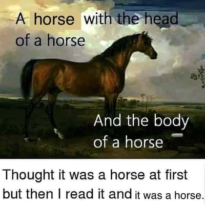 Horse meme silly redundant joke about a perfectly normal horse