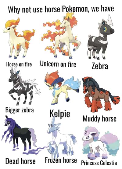 Horse meme funny labeled lineup of all the different horse pokemon