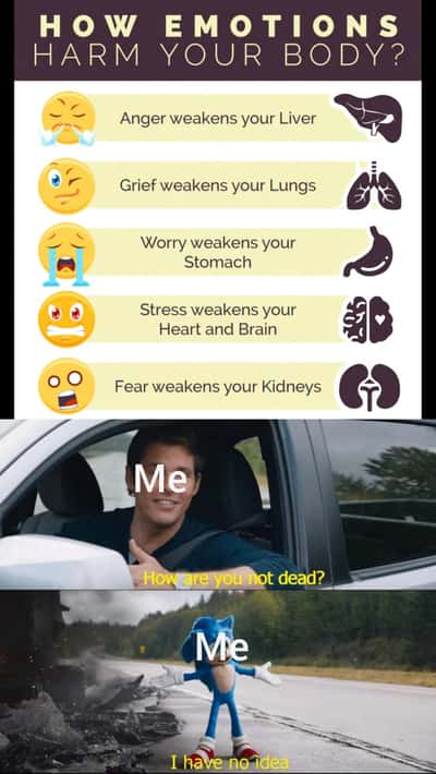 Random Memes