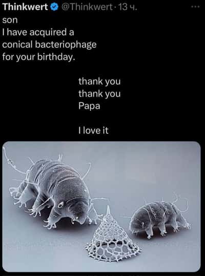 Random Memes