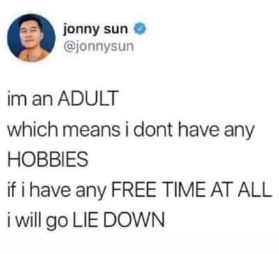 Jonny sun meme stating adults have no hobbies and lie down in free time