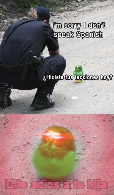 Green spanish bird meme threatening police officer who does not speak Spanish