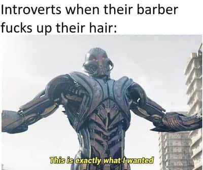 Ultron meme saying this is exactly what i wanted when barber messes up introvert's hair