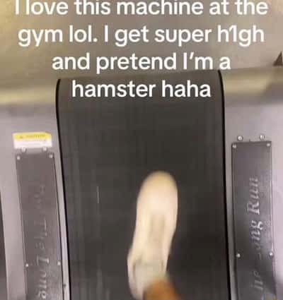 Hamster meme running on gym treadmill while high