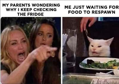 Lady pointing at cat meme parents confused over fridge food respawn