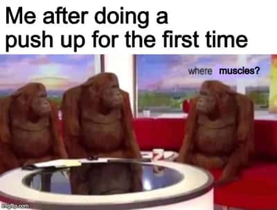 Three orangutan meme wondering where muscles are after first push up